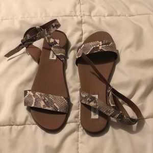 steve madden snakeskin sandals! NEVER WORN